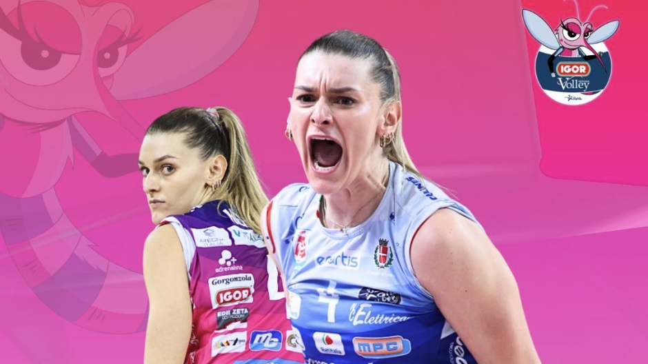 Igor Volley, rinnovo biennale per Herbots